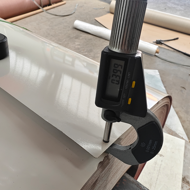 Color Coated Steel Coil