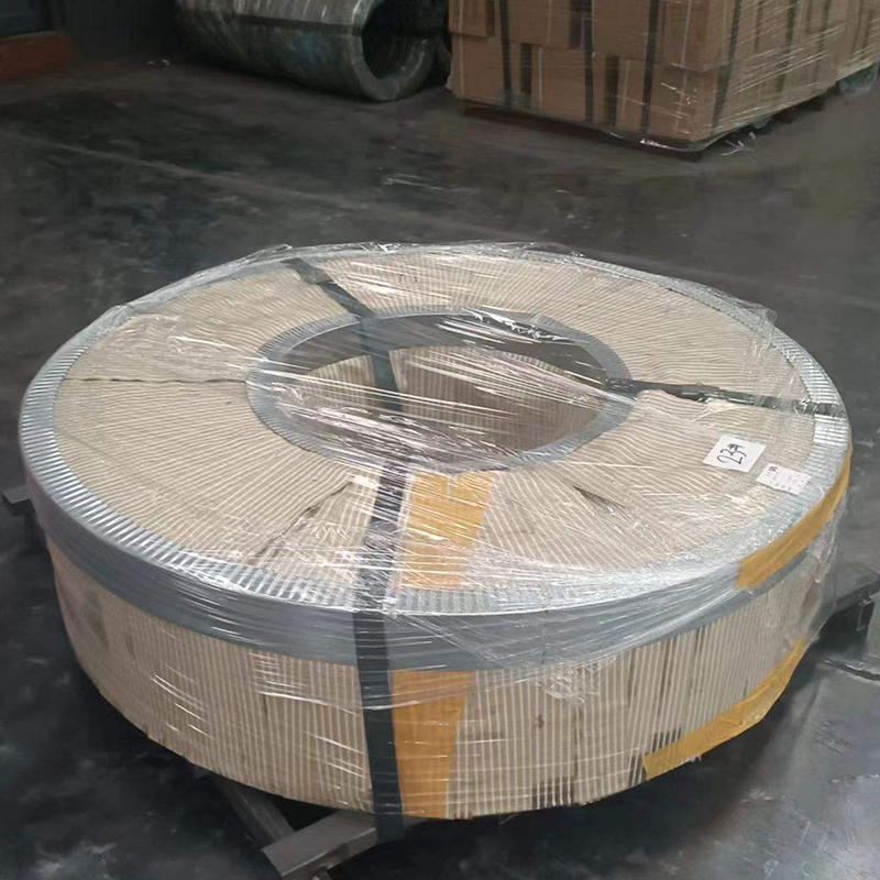 High Carbon Steel Strips
